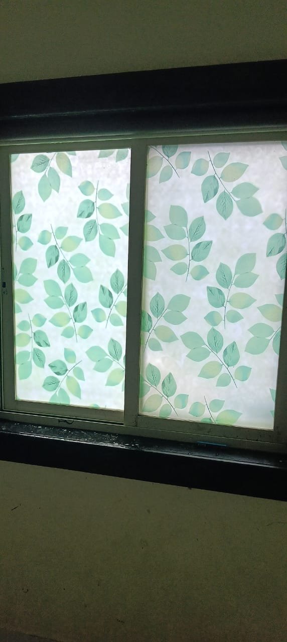 Window decorated with green leaf privacy film